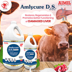 Amlycure D.S Vet Syrup