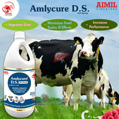 Amlycure D.S Vet Syrup