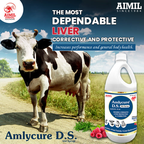 Amlycure D.S Vet Syrup