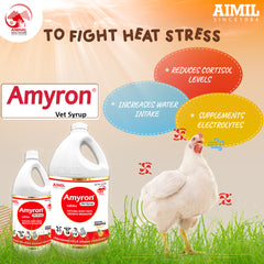 Amyron Vet Syrup (P)
