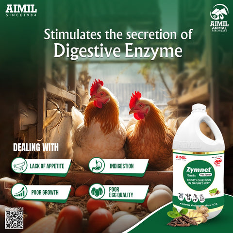 Zymnet Vet Syrup (P)