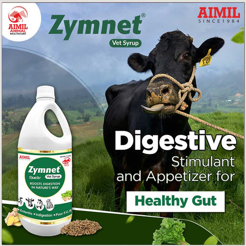 Zymnet Vet Syrup