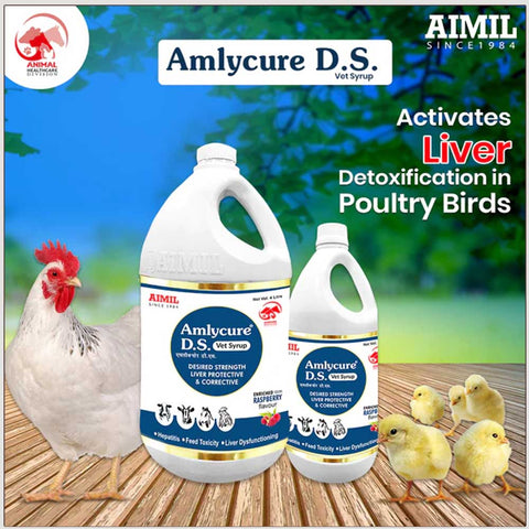 Amlycure D.S Vet Syrup (P)