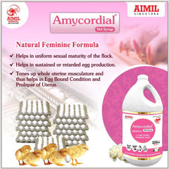 Amycordial Vet Syrup (P)