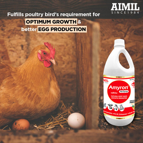 Amyron Vet Syrup (P)