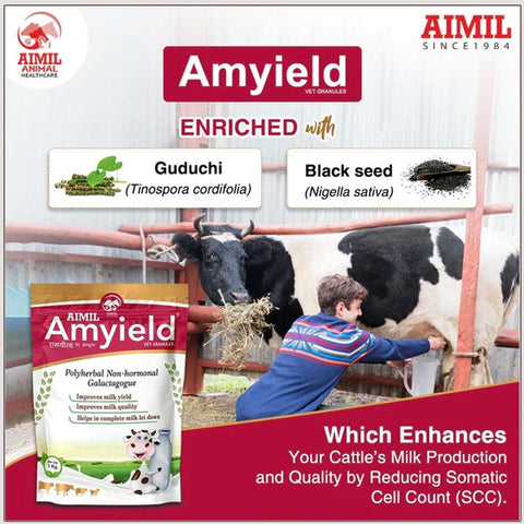Amyield Vet Granules (1kg)