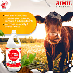 Amyron Vet Syrup
