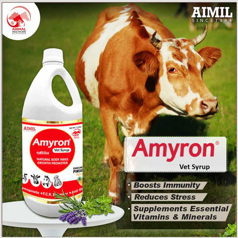 Amyron Vet Syrup