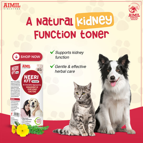 Neeri KFT Pet Liquid 200ml