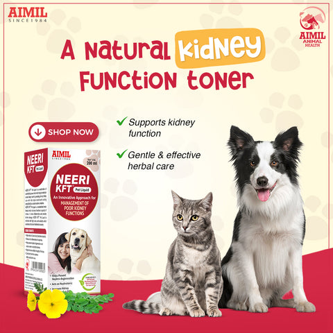 Neeri KFT Pet Liquid 200ml