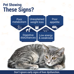 Amlycure D.S Pet Liquid 200ml