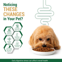 Zymnet Plus Pet Drops 60ml