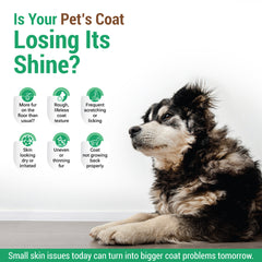 Furpaw Pet Oral Liquid 200ml