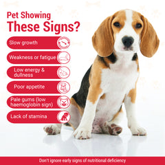 Amyron Pet Liquid 200ml