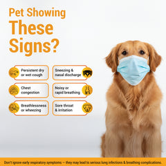 Jufex Forte Pet Liquid 100ml