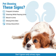 Neeri Pet Liquid 200ml