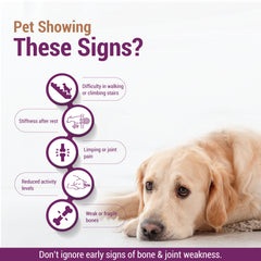 Boniheal Pet Liquid 200ml