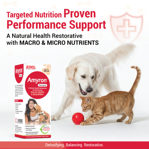 Amyron Pet Liquid 200ml