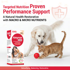 Amyron Pet Liquid 200ml