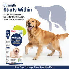 Amlycure D.S Pet Liquid 200ml