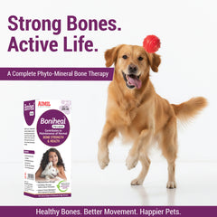 Boniheal Pet Liquid 200ml