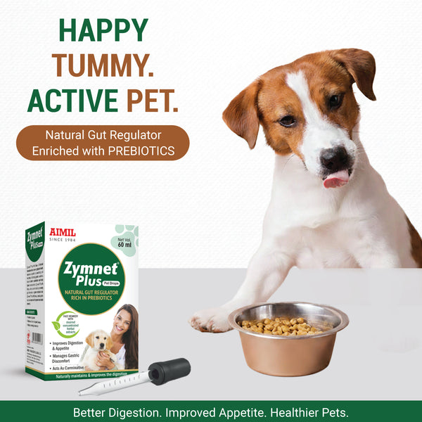 Zymnet Plus Pet Drops 60ml