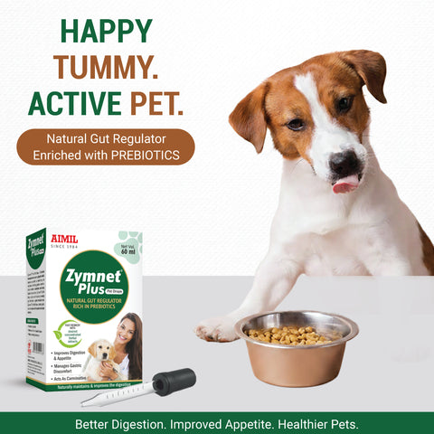 Zymnet Plus Pet Drops 60ml