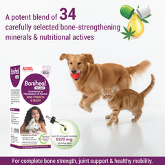 Boniheal Pet Liquid 200ml