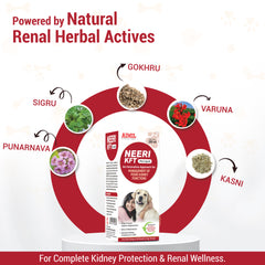 Neeri KFT Pet Liquid 200ml