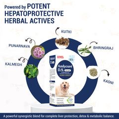 Amlycure D.S Pet Liquid 200ml