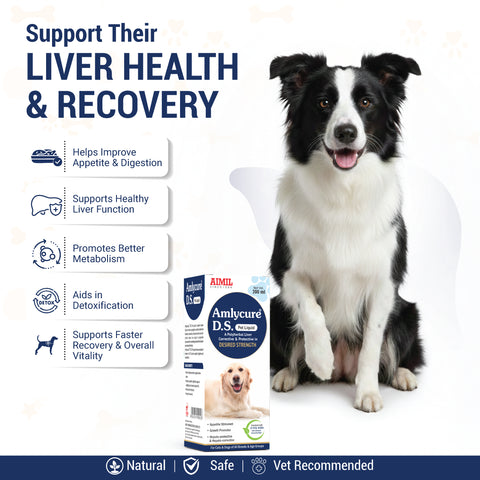 Amlycure D.S Pet Liquid 200ml