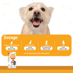 Jufex Forte Pet Liquid 100ml