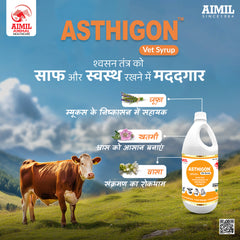 Asthigon Vet Syrup