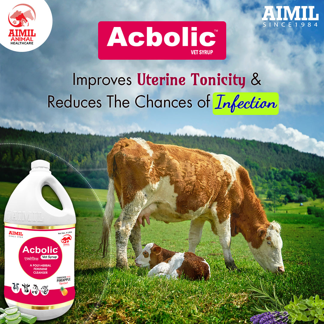 Buy Aimil Acbolic Vet Syrup for cattle health – AIMILVETS
