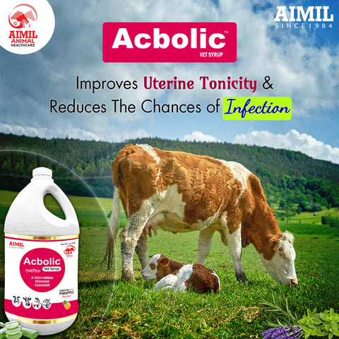 Acbolic Vet Syrup (1 Ltr)