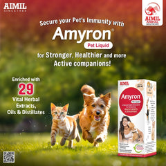 Amyron Pet Liquid 200ml