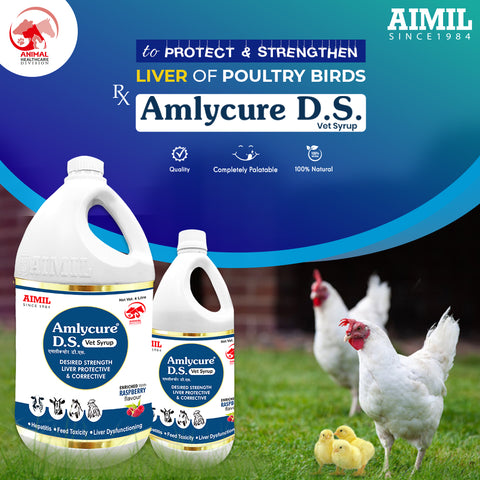 Aimil Amlycure D.S Vet Syrup ( Poultry )