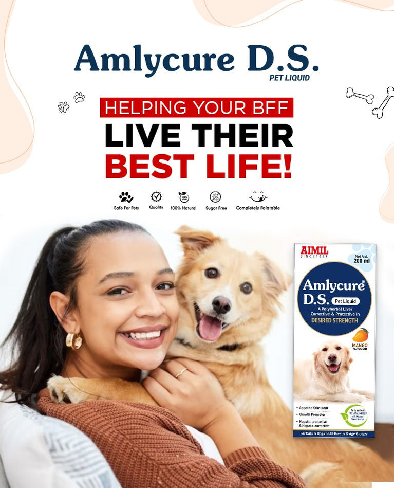 Amlycure Ds Pet Liquid 