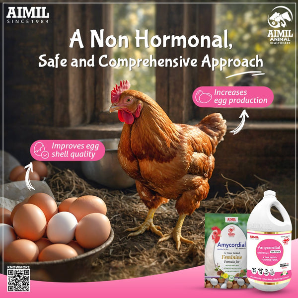 Amycordial Vet Syrup (P)