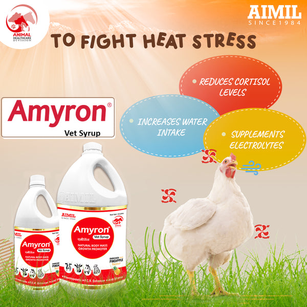 AIMIL Amyron Vet Syrup for poultry birds – AIMILVETS
