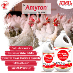 Aimil Amyron Vet Syrup ( Poultry )