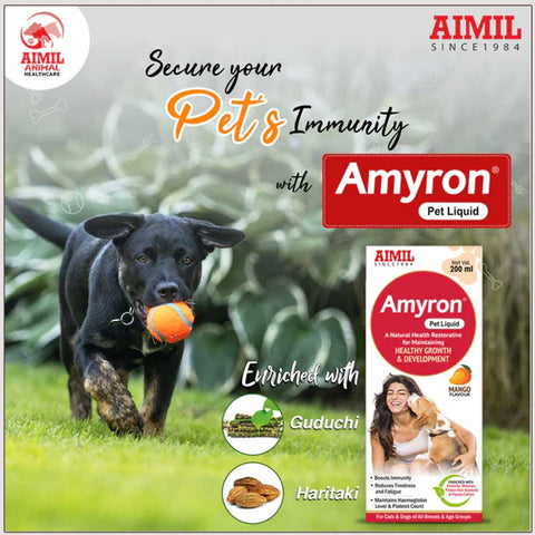 Aimil Amyron Pet Liquid 200 ml