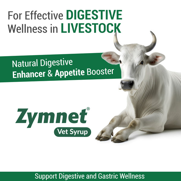 Zymnet Vet Syrup