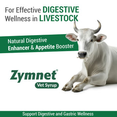 Zymnet Vet Syrup