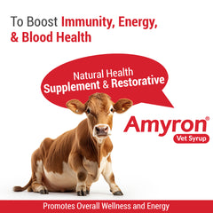 Amyron Vet Syrup