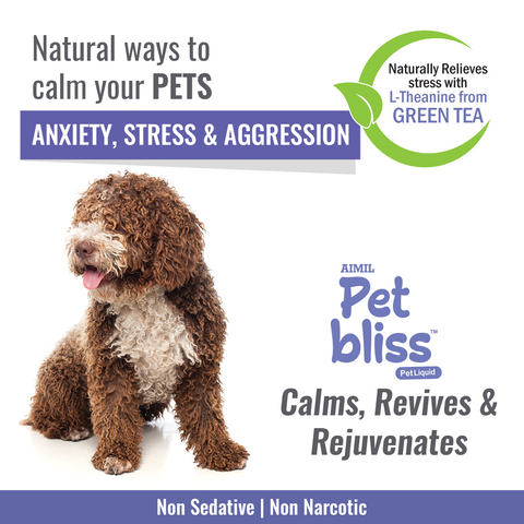 AIMIL Pet bliss Pet Liquid 200ml