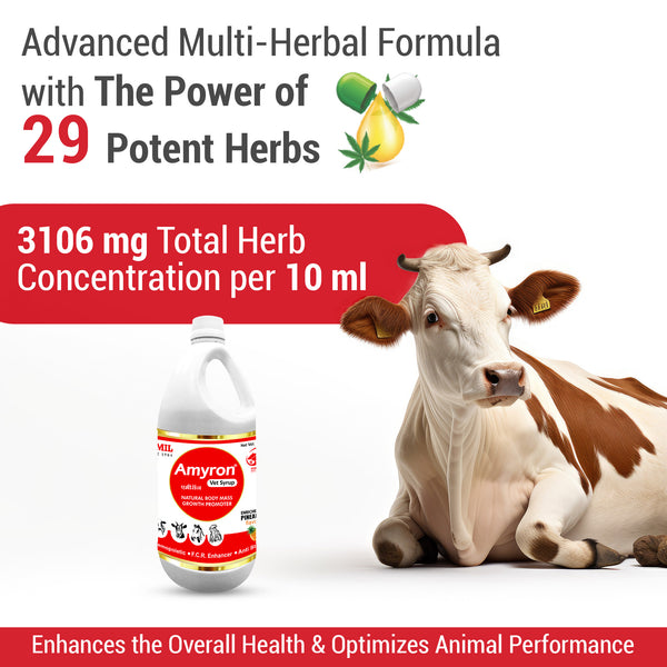 Amyron Vet Syrup