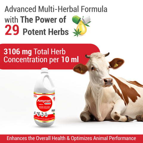 Amyron Vet Syrup