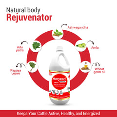 Amyron Vet Syrup