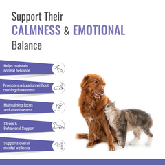 AIMIL Pet bliss Pet Liquid 200ml